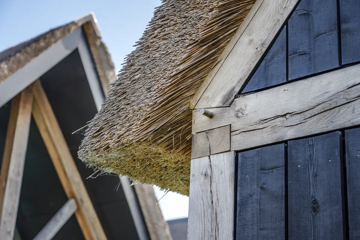 Detail van een rieten kap met robuuste houten spanten en donkere gevelbekleding, als tijdloos maatwerk van architect in Oud-Alblas.